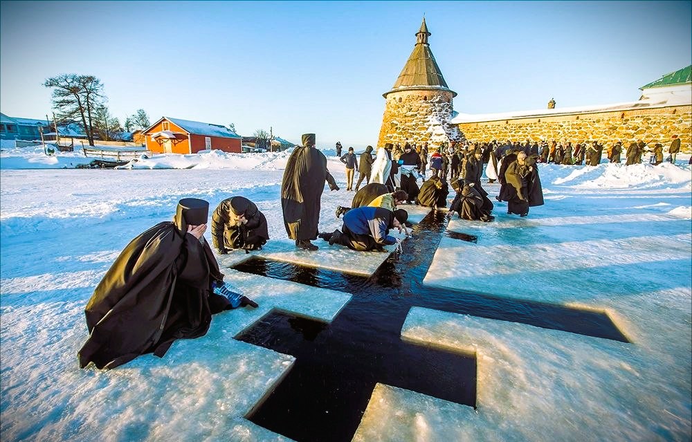 5350774659878078603 1